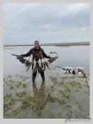 Ветровой махокрыл чучела белолобого гуся "СОЛО",FLOCK DECOYS
